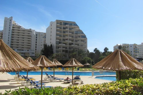 Club Amarilis